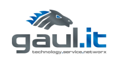 Gaul-IT-Logo